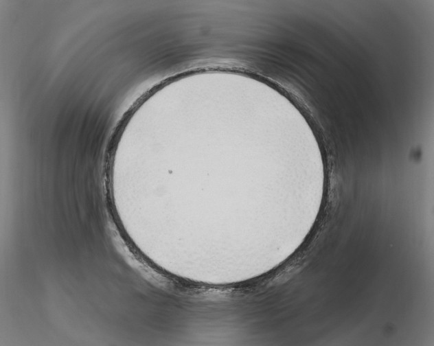 X0000115631038200912221245