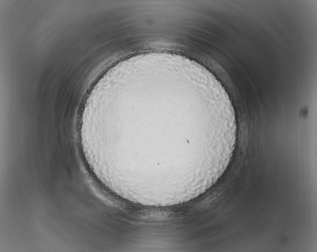 X0000115631039200912221245