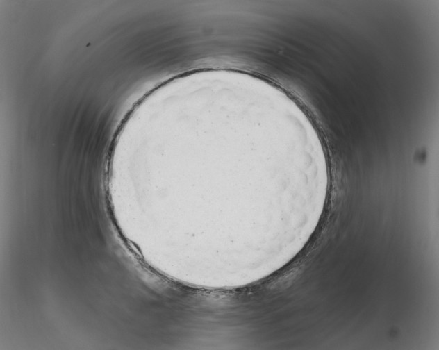 X0000115631040200912221245