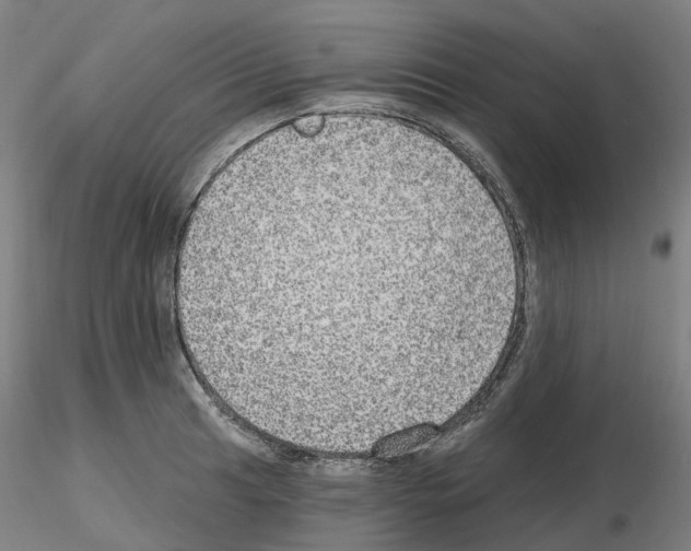 X0000115631041200912221245