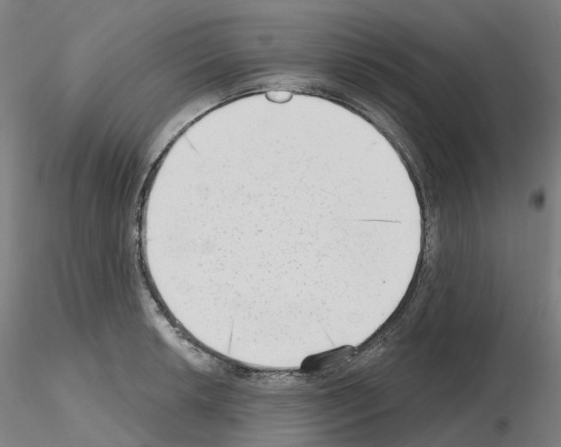 X0000115631042200912221245