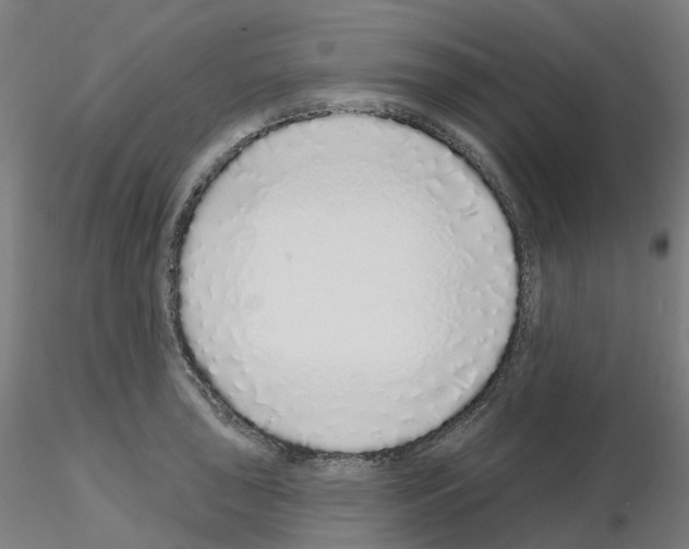 X0000115631043200912221245