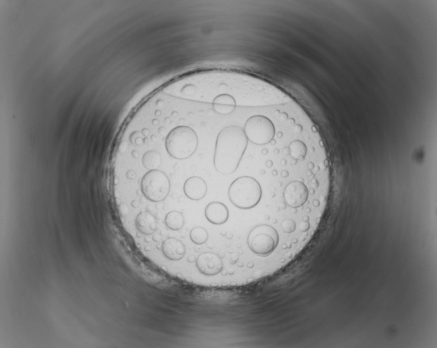 X0000115631044200912221245