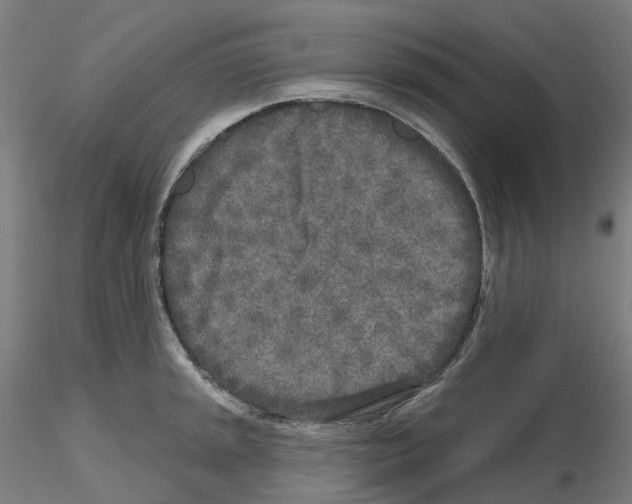 X0000115631045200912221245