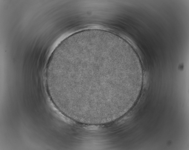 X0000115631048200912221245