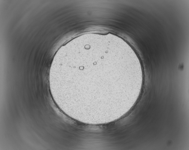 X0000115631049200912221245