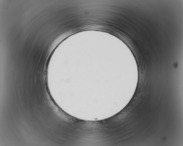 X0000115631050200912221245