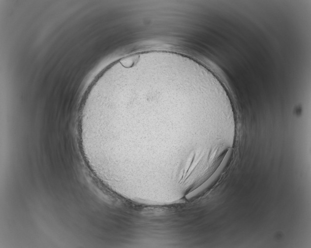 X0000115631051200912221245
