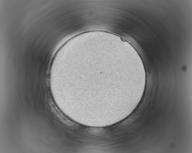X0000115631052200912221245