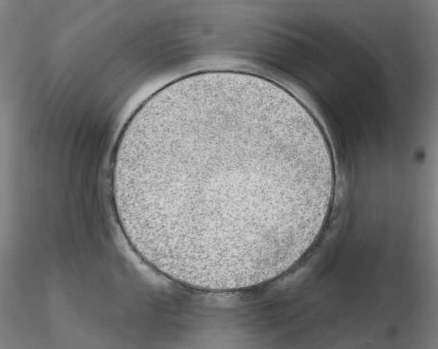 X0000115631053200912221245