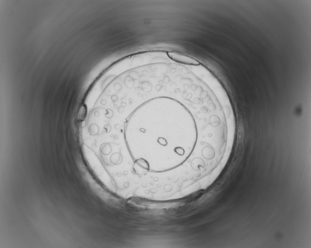 X0000115631054200912221245