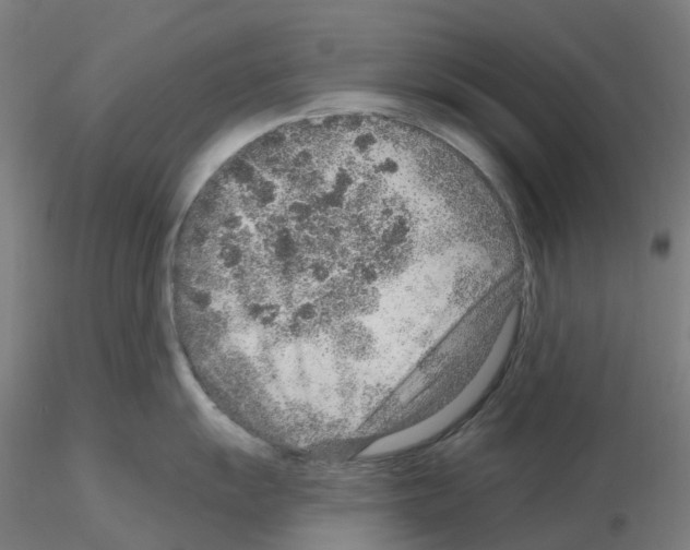 X0000115631055200912221245