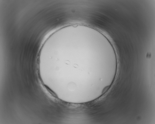 X0000115631056200912221245