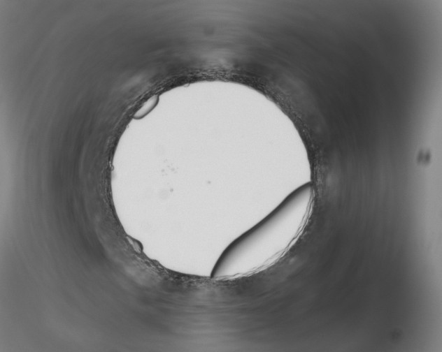 X0000115631057200912221244