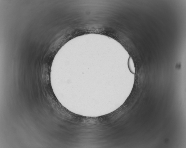 X0000115631058200912221244