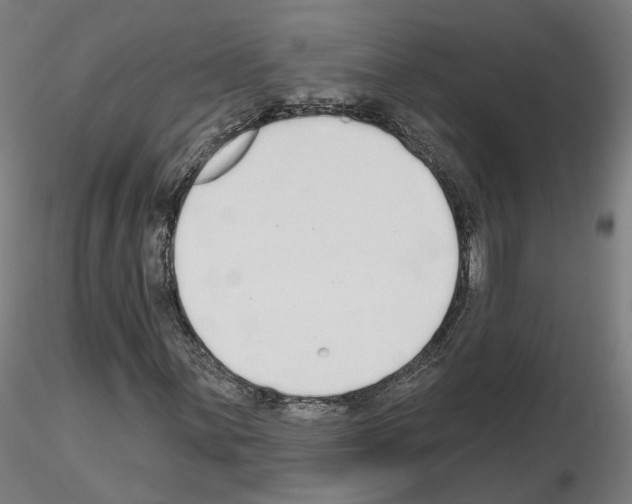 X0000115631059200912221244