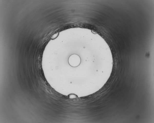 X0000115631060200912221244