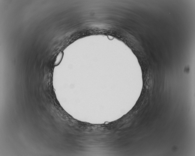 X0000115631061200912221244