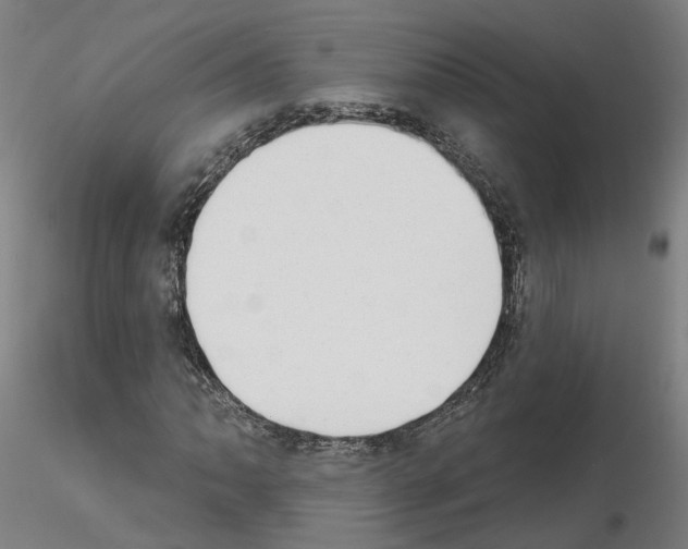 X0000115631062200912221244