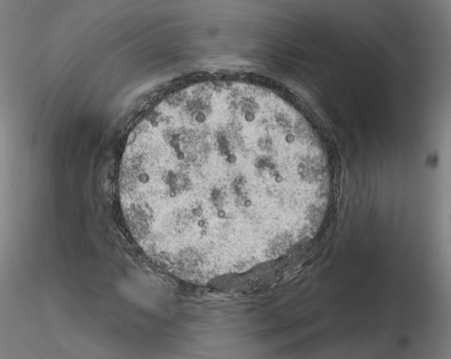 X0000115631063200912221244