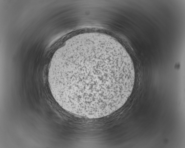 X0000115631064200912221244