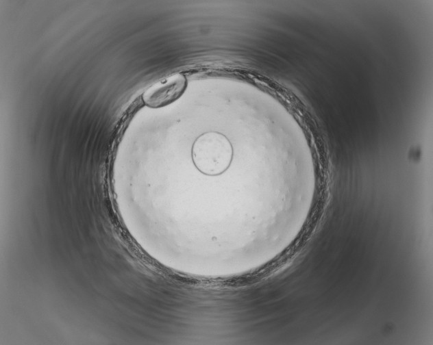 X0000115631065200912221244