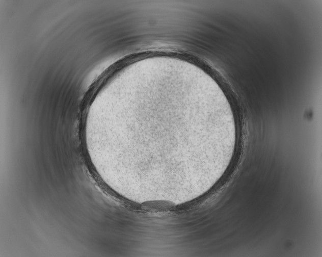 X0000115631066200912221244