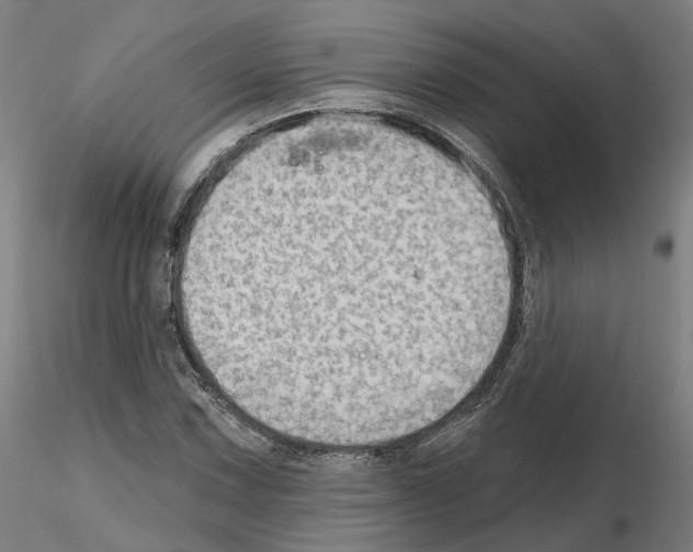 X0000115631067200912221244