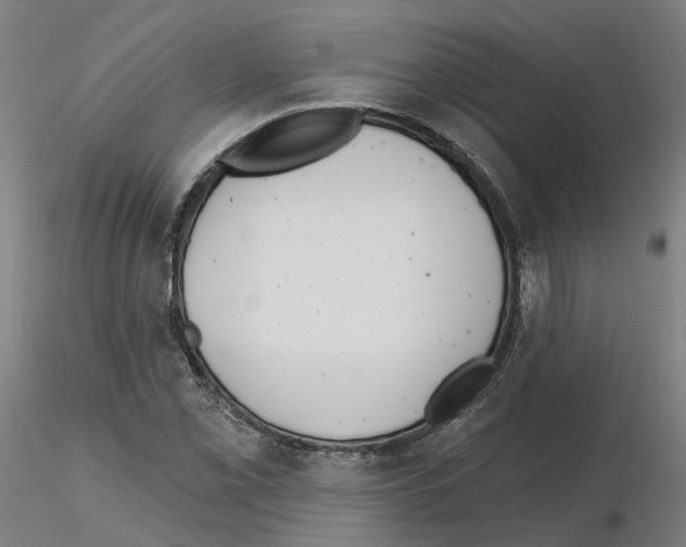 X0000115631069200912221244