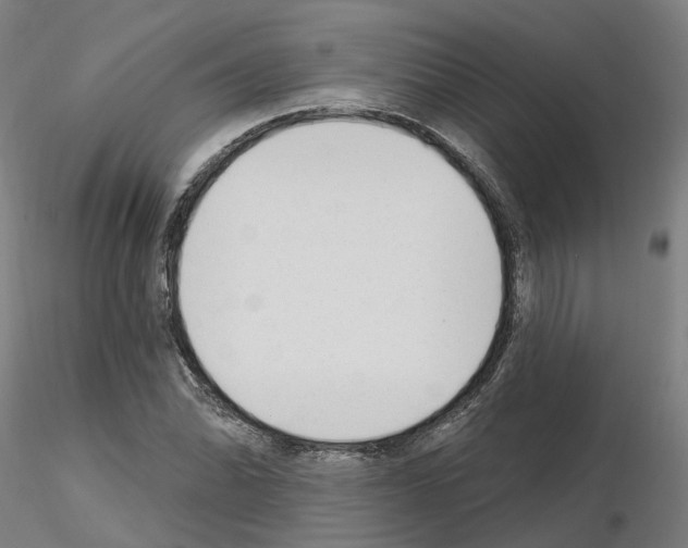 X0000115631070200912221244