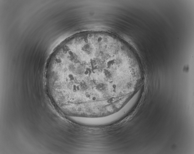 X0000115631071200912221244