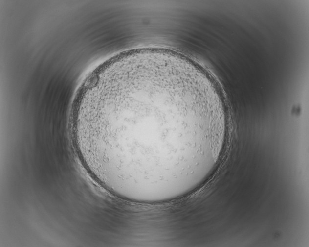 X0000115631072200912221244