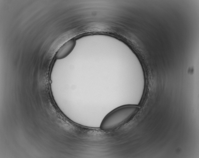 X0000115631073200912221244