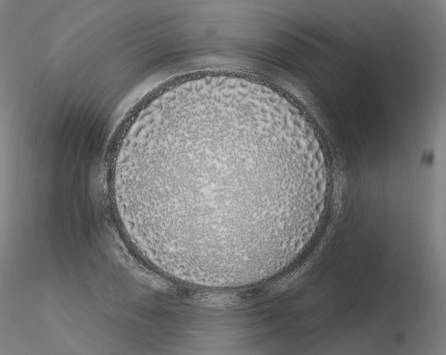 X0000115631074200912221244