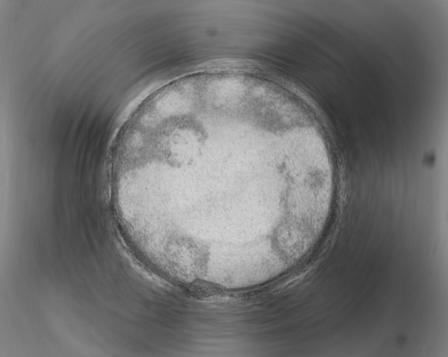 X0000115631075200912221244
