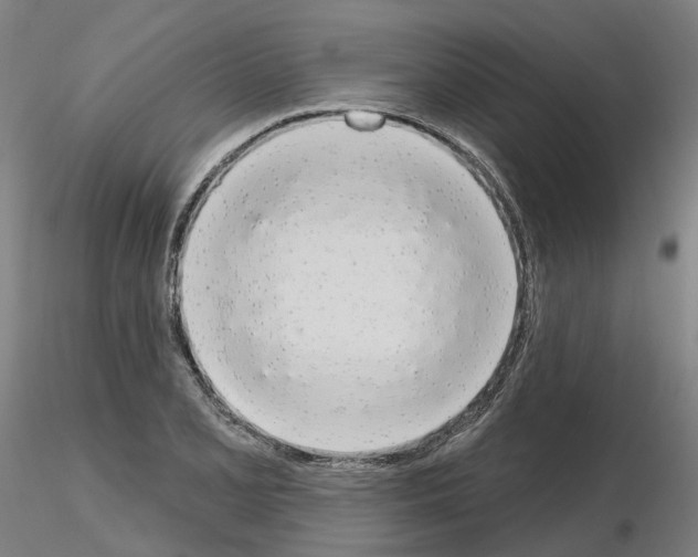 X0000115631077200912221244