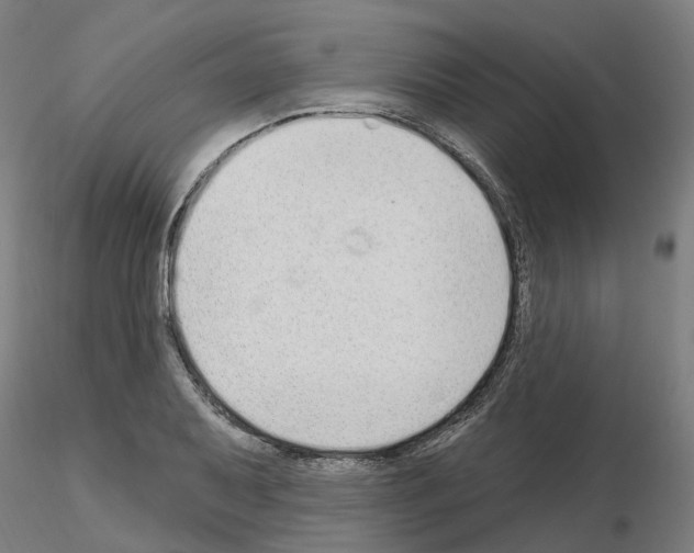 X0000115631079200912221244
