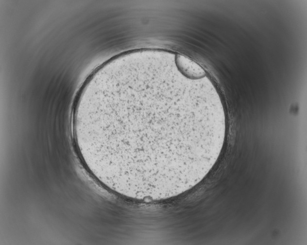 X0000115631080200912221244