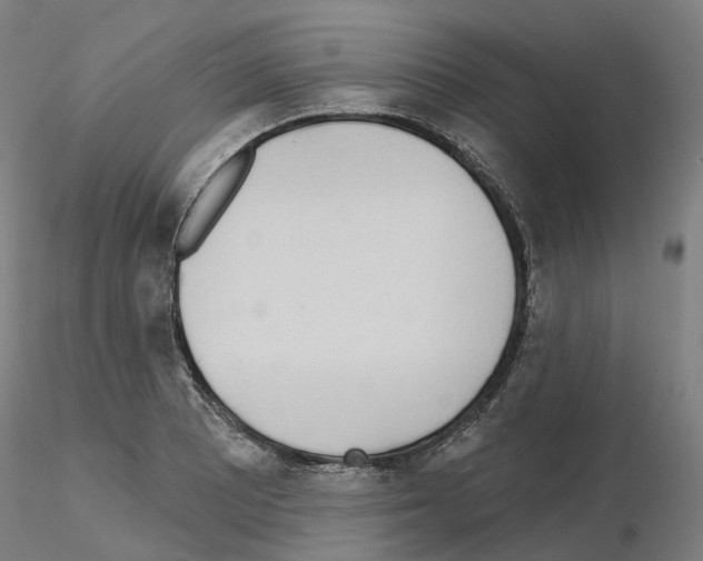 X0000115631081200912221244
