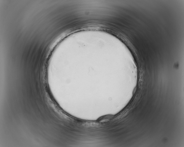 X0000115631083200912221244