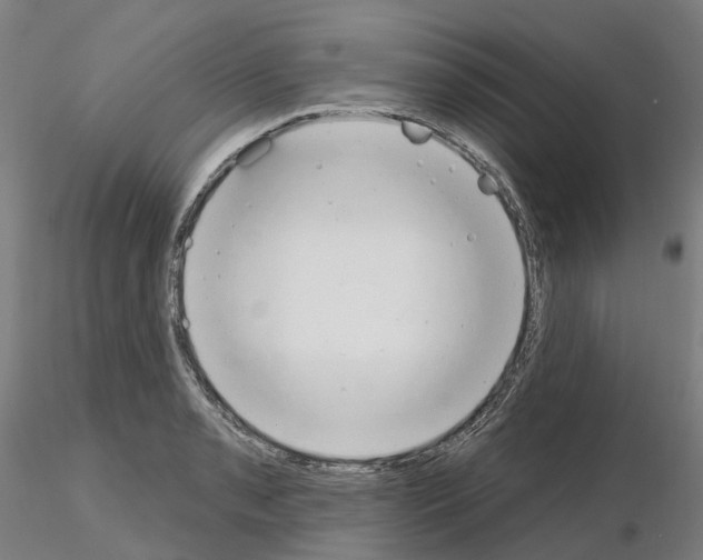 X0000115631085200912221244