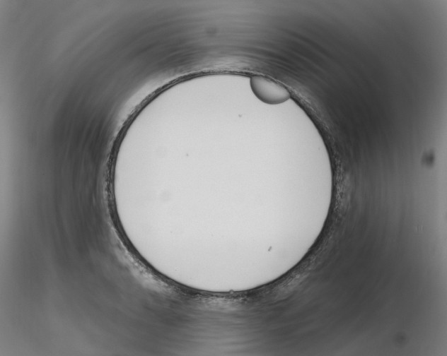 X0000115631086200912221244