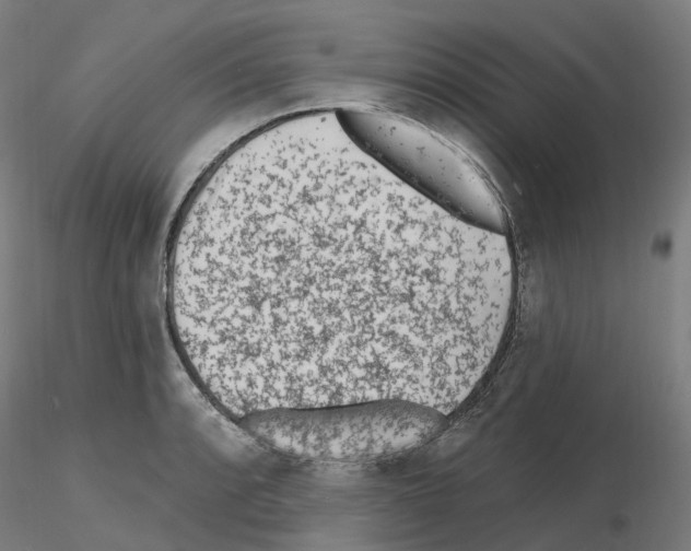 X0000115631088200912221244