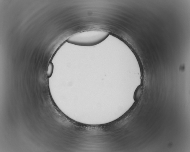 X0000115631089200912221244