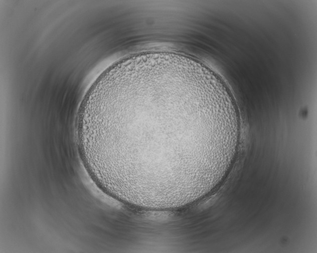X0000115631090200912221244