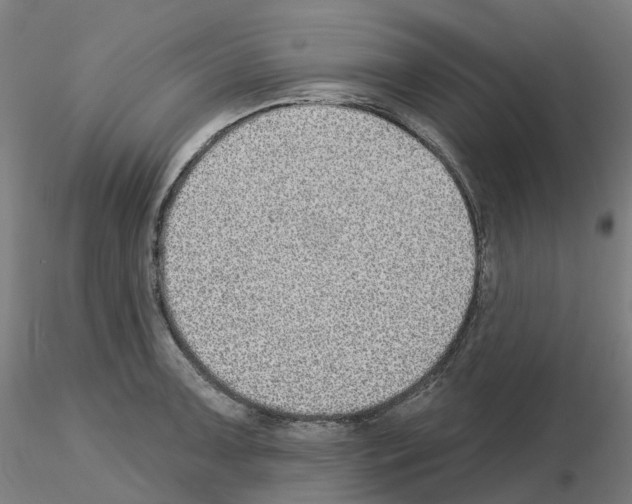 X0000115631091200912221244