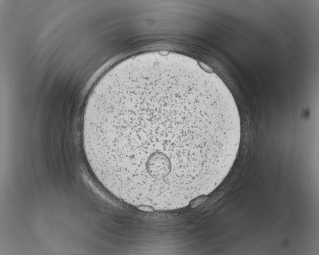 X0000115631092200912221244