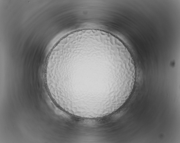 X0000115631094200912221244