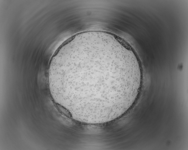 X0000115631097200912221244