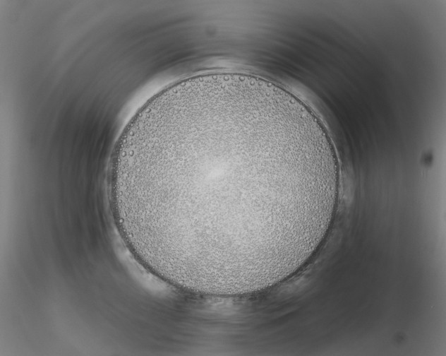 X0000115631098200912221244